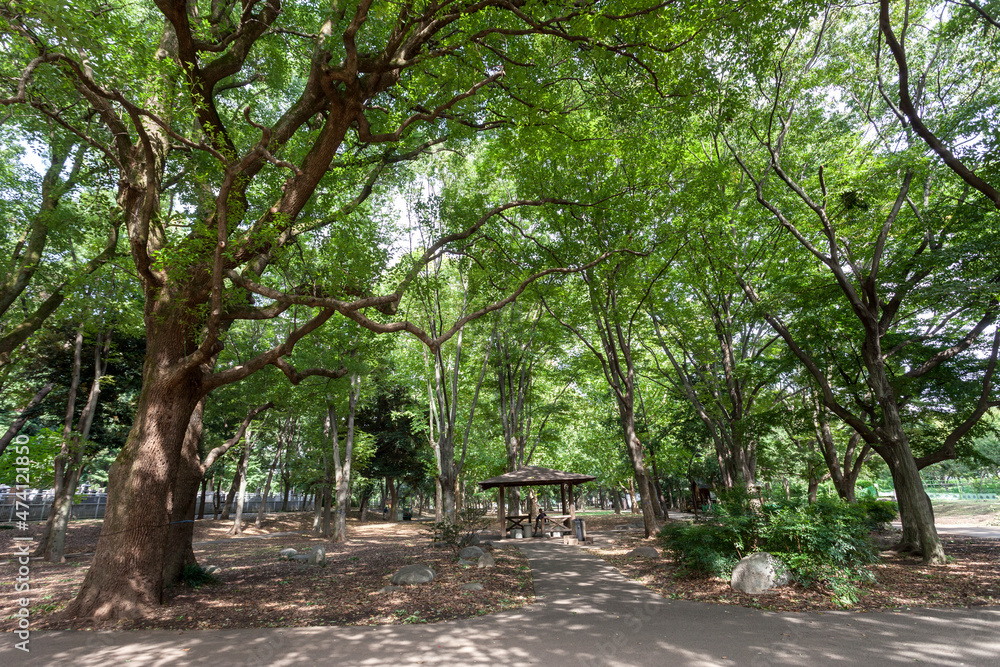 芦花公園・蘆花恒春園(東京都世田谷区粕谷) 芦花公園・蘆花恒春園(東京都世田谷区粕谷)