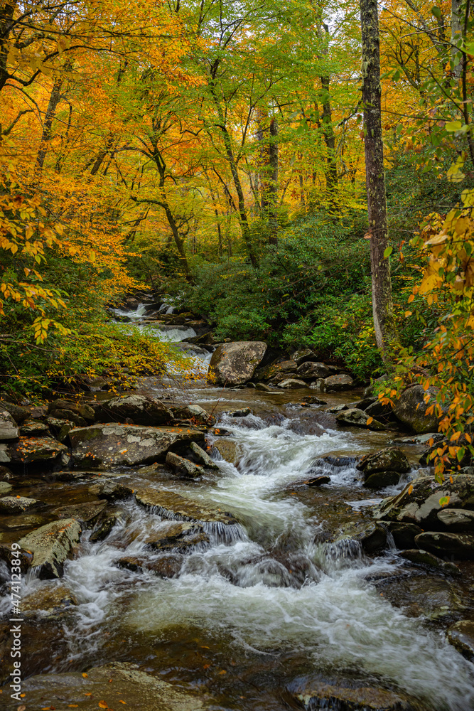 Rushing Water Flows Below Quickly Changing Fall Leaves Rushing Water Flows Below Quickly Changing Fall Leaves