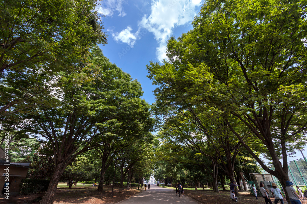 砧公園（都立砧公園・東京都世田谷区）