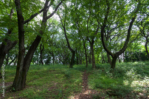 砧公園（都立砧公園・東京都世田谷区）