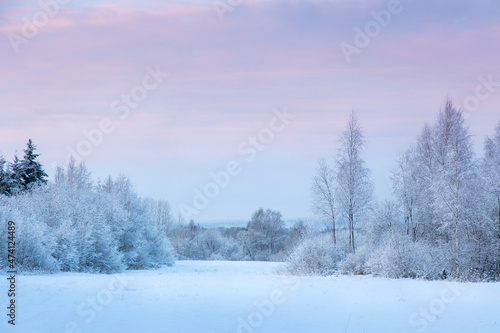 Beautiful winter landscape with field of white snow and forest on horizon on sunny frosty day © lara-sh