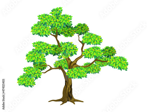cloud pruned topiary tree vector illustration