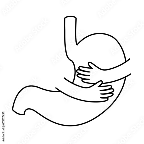 Embrace stomach outline style. Human internal organ. Icon design. Vector illustration.