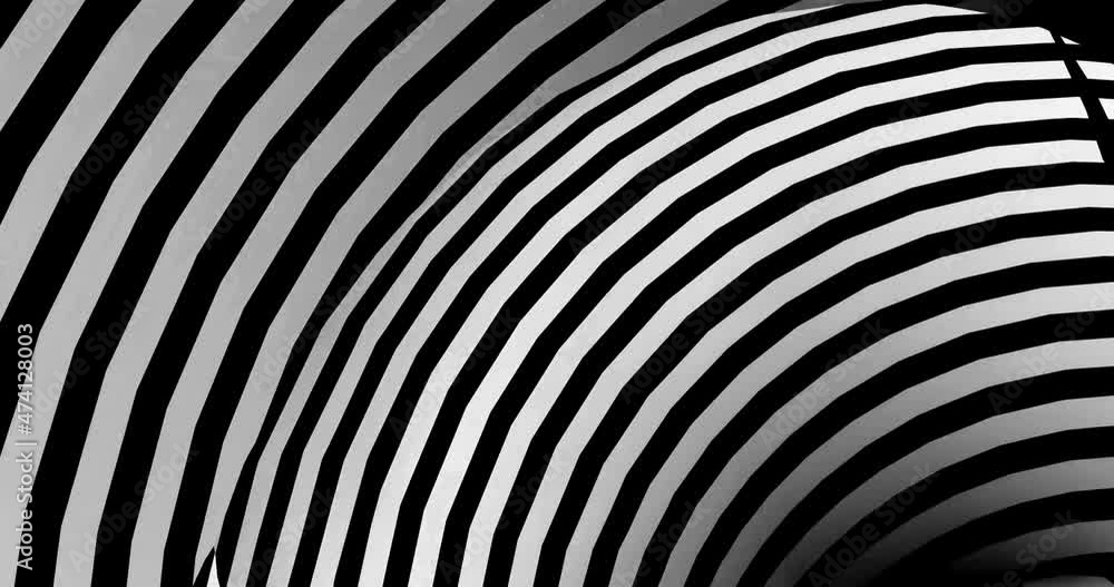 abstract background with black stripes.seamless loop video. abstract background with black stripes.seamless loop video.