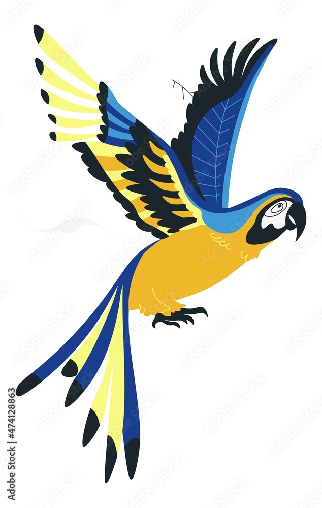 Fototapeta premium Indigo macaw flying exotic bird or parrot vector
