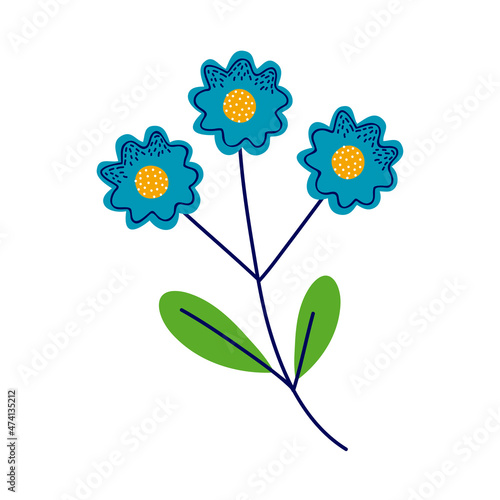 three flowers blue