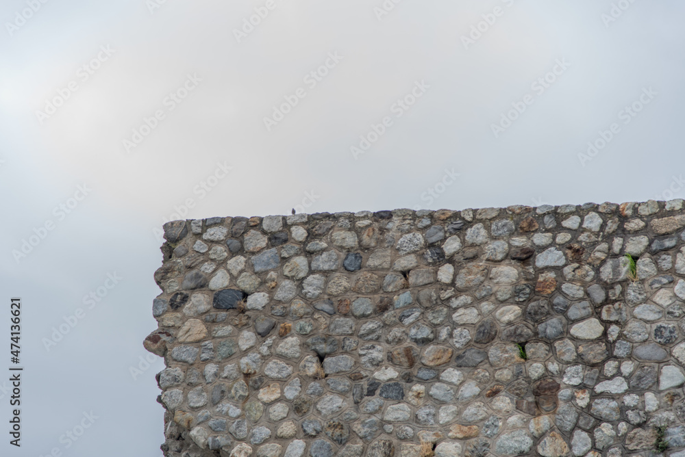 Particolare di un muro sulla sponda del torrente Amendolea con uccellino