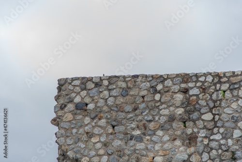 Particolare di un muro sulla sponda del torrente Amendolea con uccellino photo