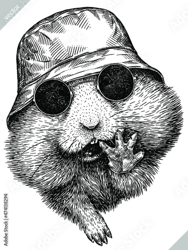 black and white engrave isolated hamster illustration