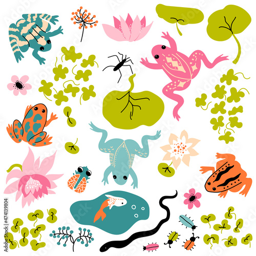 Frog set. Vector bundle with snake  water striders  fly  beetles   leaves  flowers  lotus  Water Lillies  waves.  Perfect for cards  wrapping paper  printing on the fabric  design package and cover