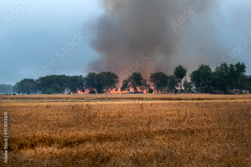 wheat fields on fire after harvesting season is main reason of pollution and smog in India and Pakistan 