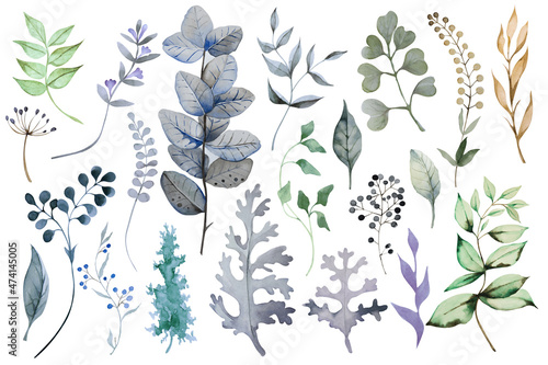 Set of colorful abstractive plants. Herbs, branches and leaves, isolated on white background. Hand drawn watercolor.
