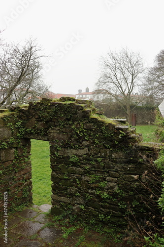 Ruins of a wall with moss and vegetation belonging to the entrance of a stone house, in the park of Santo Domingo de Bonaval, in Santiago de Compostela. Vertical image. photo