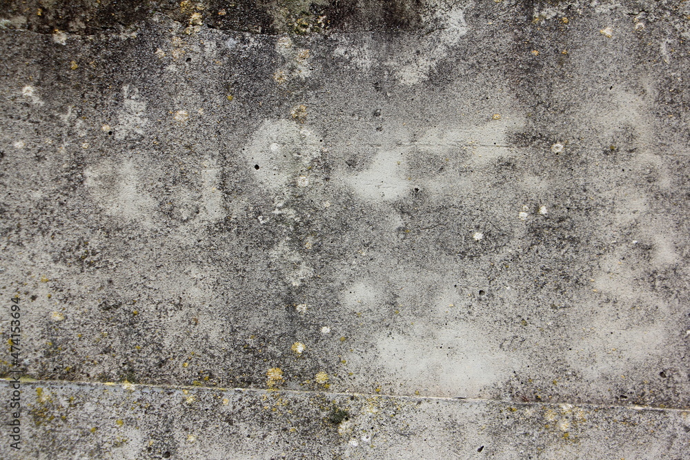Fototapeta premium An old dry concrete wall with gray spots and an oblique seam interspersed with moss background texture