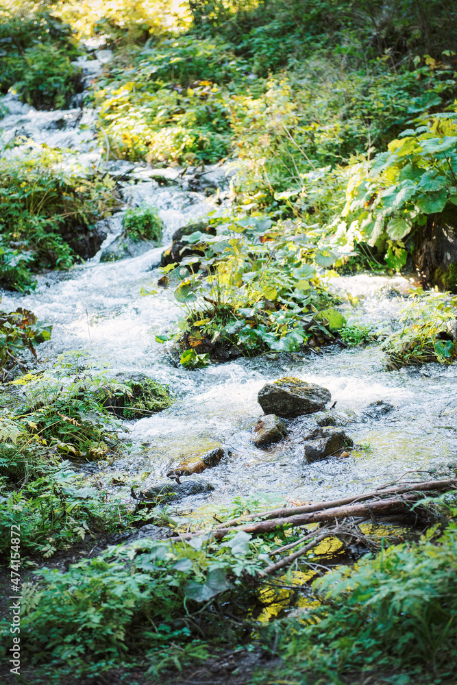 Waterfall river stream in green nature forest Waterfall river stream in green nature forest