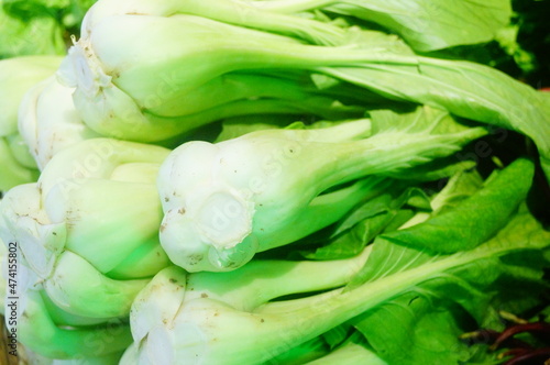Close up of cabbage