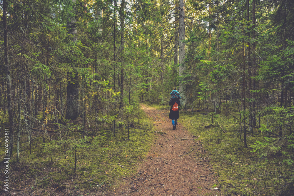 Obraz premium a man walking along a path in the forest with a child on his shoulders