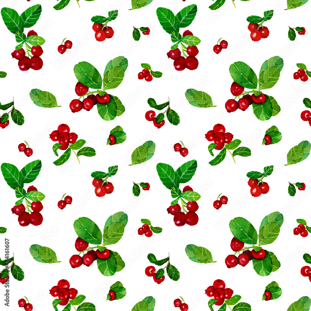 Watercolor Cranberry seamless pattern on white background. Handdrawn painting of lingonberry twigs with leaves. illustration of viburnum bushes. Design for covers, packaging, cards, wallpapers, fabric Watercolor Cranberry seamless pattern on white background. Handdrawn painting of lingonberry twigs with leaves. illustration of viburnum bushes. Design for covers, packaging, cards, wallpapers, fabric