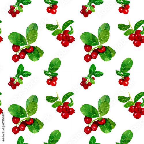 Watercolor Cranberry seamless pattern on white background. Handdrawn painting of lingonberry twigs with leaves. illustration of viburnum bushes. Design for covers  packaging  cards  wallpapers  fabric