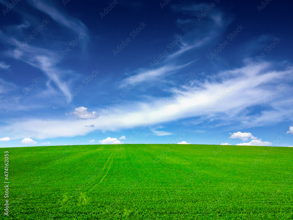green field and blue sky green field and blue sky