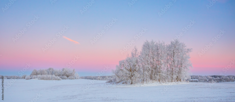 Cold winter landscape with morning light, frozen trees and snow cover, snowy winter, north