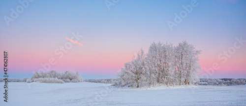 Cold winter landscape with morning light, frozen trees and snow cover, snowy winter, north © lukjonis