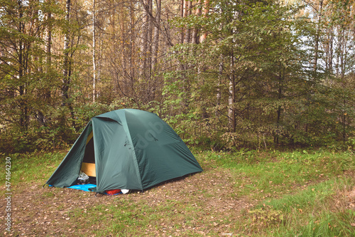 tent in a pine forest  camping in the forest