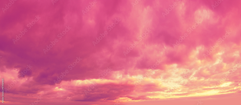 Panorama of a pink cloudy sky at sunset. Sky texture. Abstract nature background