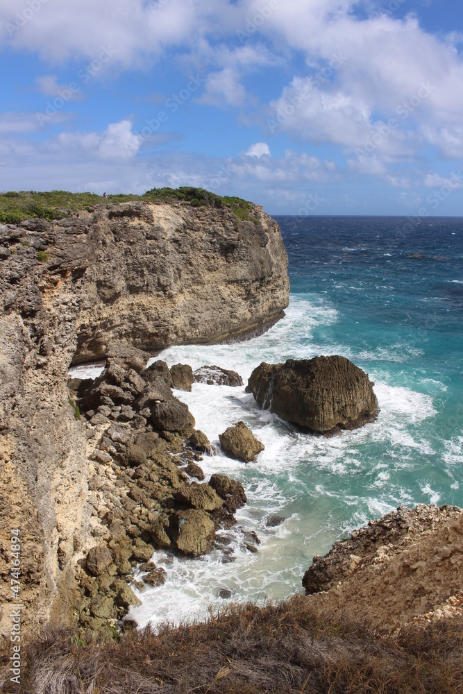 Falaise en Guadeloupe (pointe des châteaux)