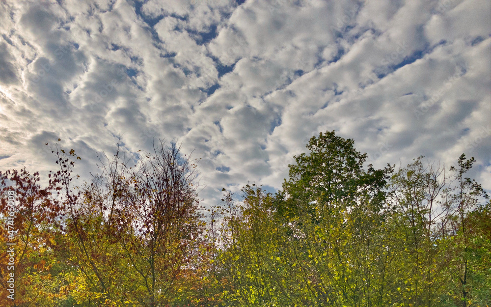 Obraz premium grass and sky