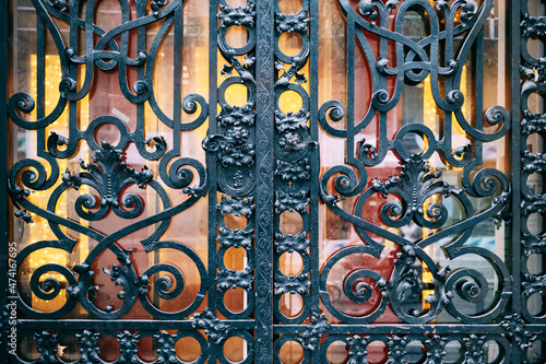 Beautiful wrought-iron gates with floral patterns