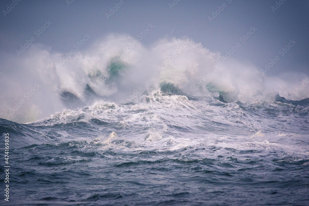 Fuerza del mar Fuerza del mar