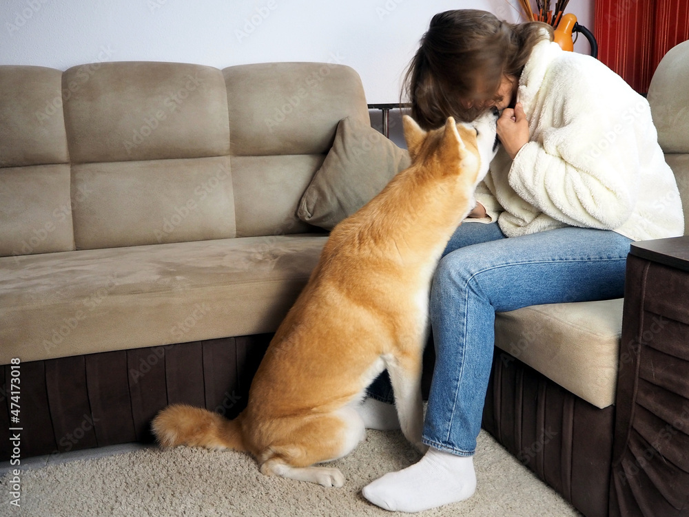 A large ginger dog consoles its owner. The concept of understanding between animal and human. Copy space
