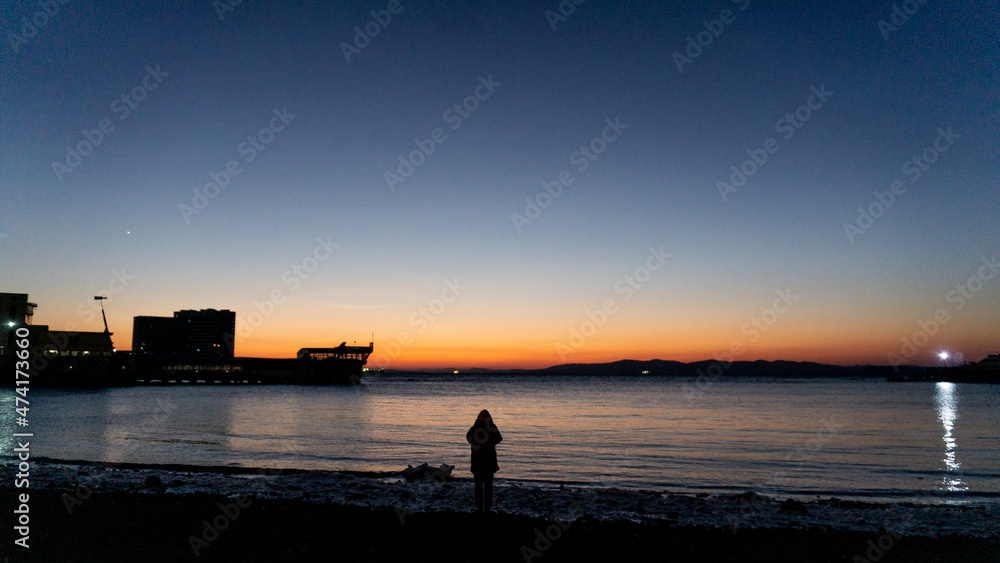 Obraz premium Vladivostok is a city in Russia. It is the center of the Russian Far East and the administrative center of the Primorsky Region.