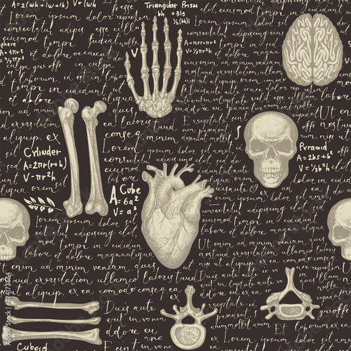 Abstract seamless pattern with hand-drawn human skulls, bones, joints and organs on a black backdrop with handwritten text lorem ipsum. Vintage vector background with sketches on a medical theme