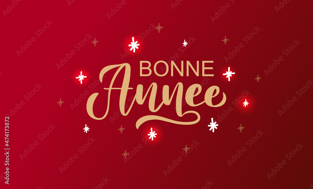 Hand sketched Bonne Annee card, badge, icon typography. Lettering Bonne Annee for Christmas, New Year greeting card, invitation template, banner, poster. Vector EPS10