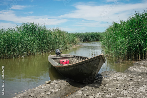 Fototapeta Naklejka Na Ścianę i Meble -  Wooden fishing boat in the middle of huge grass in the bay