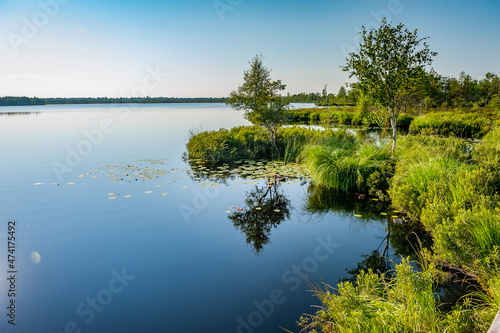 View of Koigi bog on sunny day. Swampy land and wetland  marsh  bog. Saaremaa  Estonia.