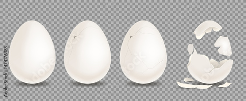 Set of white chicken eggs. Shell with cracks. Isolated on a transparent background. Culinary cooking nutrition ingredient, bird incubator
