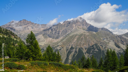 Gran Paradiso National Park, park in northwestern Italy
