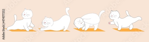 Set of a cat doing yoga. International Yoga Day 21st of June. Flat vector illustartion. Yoga Exercise Asanas.