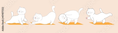 Set of a cat doing yoga. International Yoga Day 21st of June. Flat vector illustartion. Yoga Exercise,Asanas.