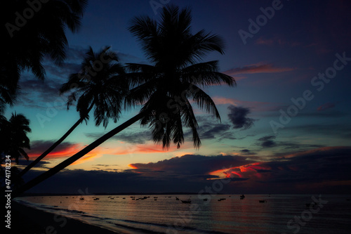 Fototapeta Naklejka Na Ścianę i Meble -  Silhoutte of a palm in sunset on the beach