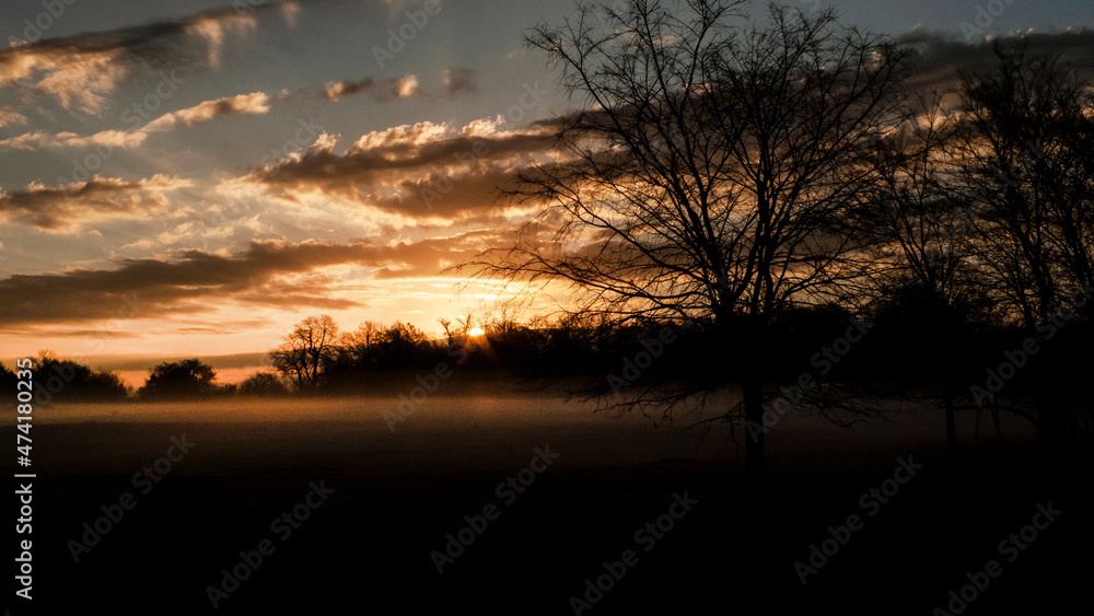 Sunrise in the countryside at wintertime with bare branches on the trees Sunrise in the countryside at wintertime with bare branches on the trees