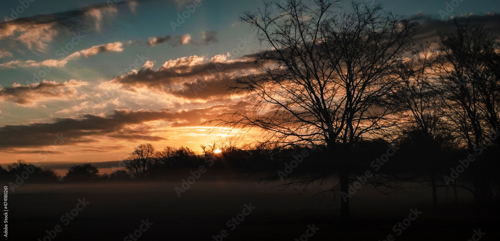 Winter sunrise with fog in the country