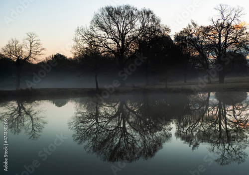 Blue hour over the water with reflections of winter oak trees