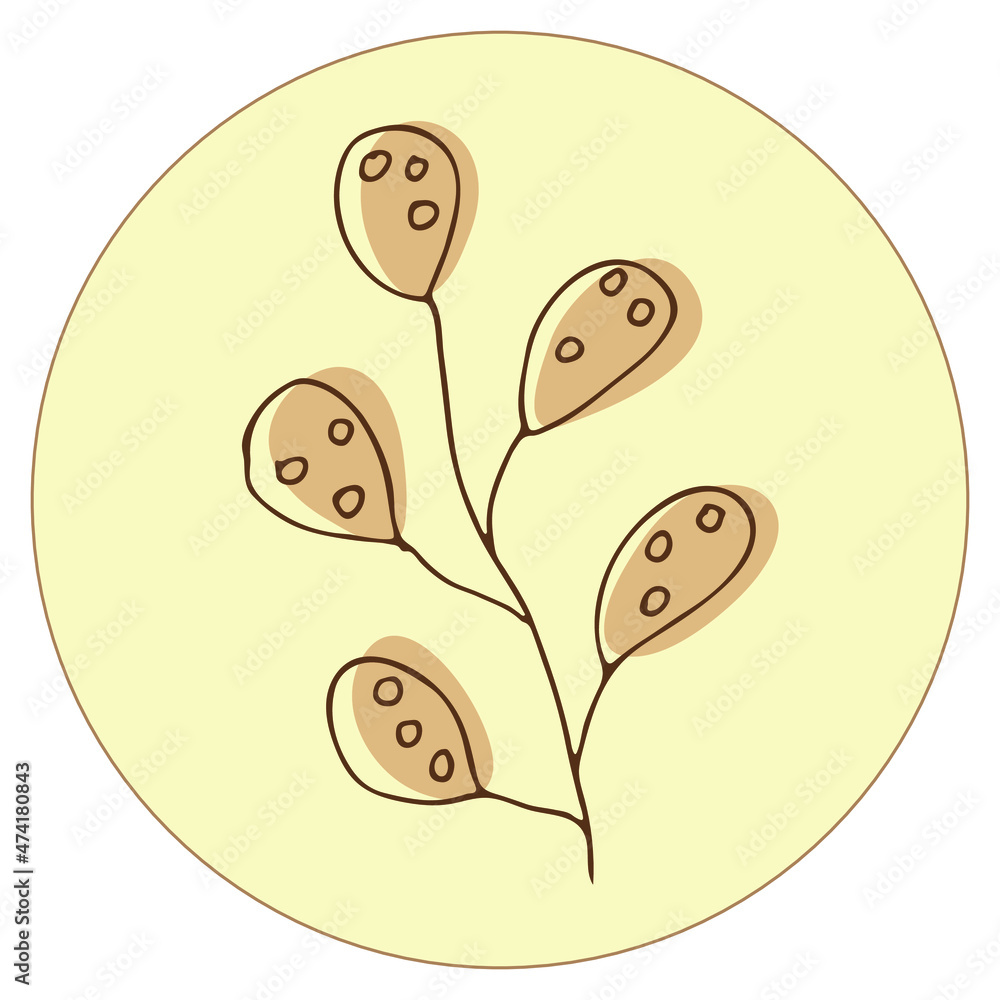 Fototapeta premium Vector icon and emblem for social media story highlight covers. Design templates for bloggers, photographers and designers. Abstract minimal circle backgrounds with nature leaves.