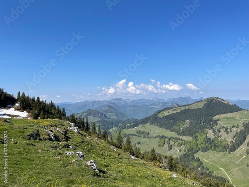 alpine meadow in the mountains