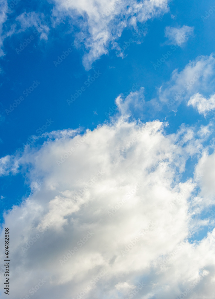 Fototapeta premium Big white fluffy cloud in the blue sky in sunny weather, vertical format