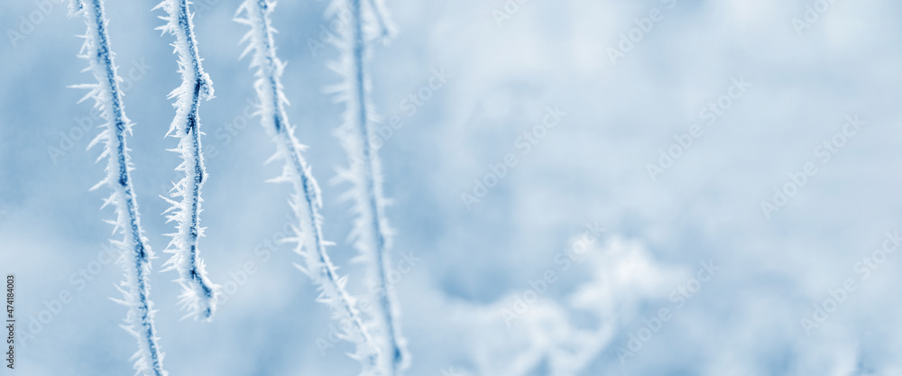 Winter Christmas and New Year background with frost-covered birch branches on blurred background, copy space Winter Christmas and New Year background with frost-covered birch branches on blurred background, copy space